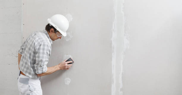 Best Black Mold Removal  in Thornton, IL