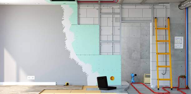 Best Mold Remediation for Healthcare Facilities  in Thornton, IL