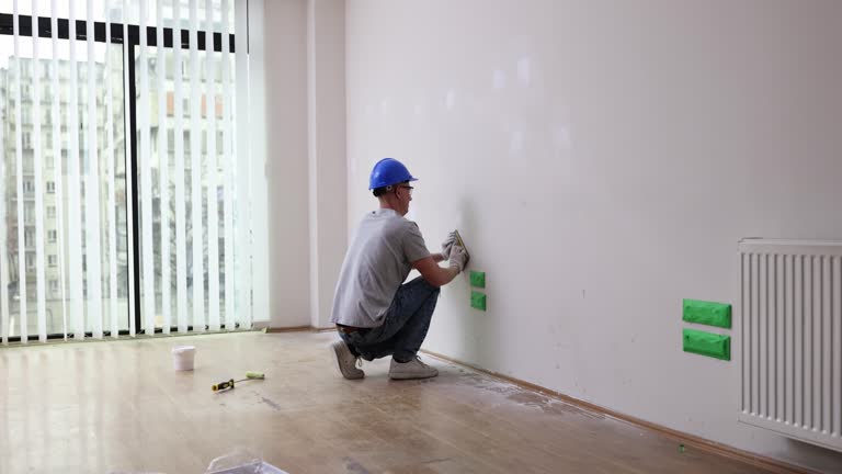 Thornton, IL Mold Removal Company