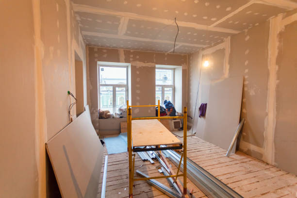 Best Mold Documentation for Insurance Claims  in Thornton, IL