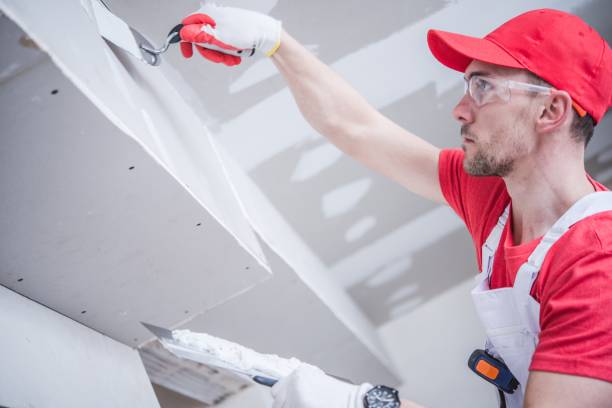 Best Air Quality Testing for Mold Spores  in Thornton, IL